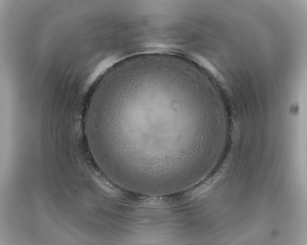 X0000092031259200709061607