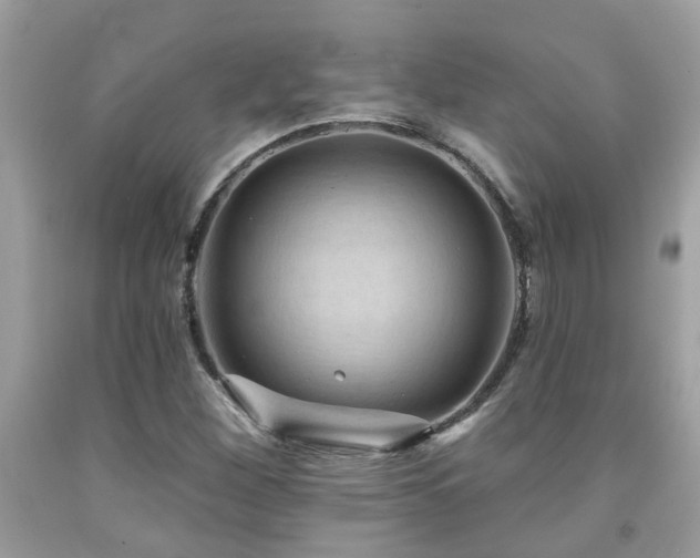 X0000092031260200709061607