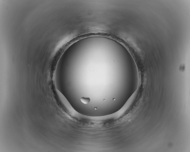 X0000092031261200709061607