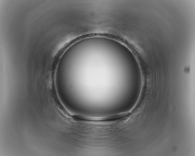 X0000092031262200709061607