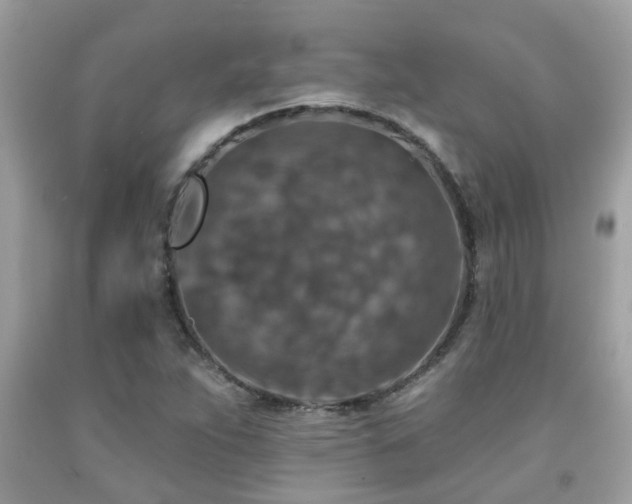 X0000092031263200709061607