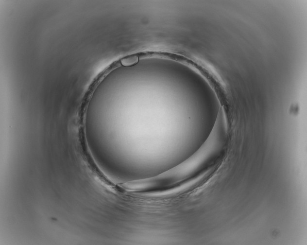 X0000092031264200709061607