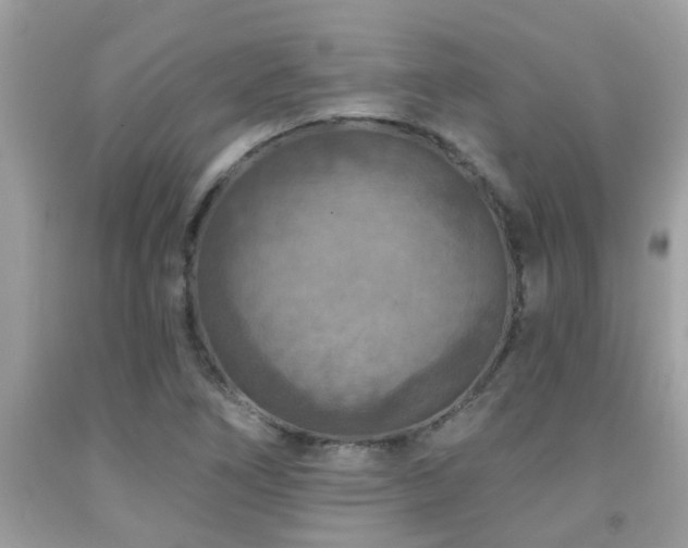 X0000092031266200709061607