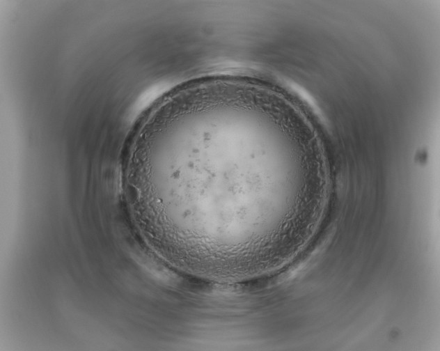 X0000092031267200709061607