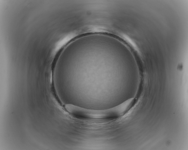 X0000092031269200709061607
