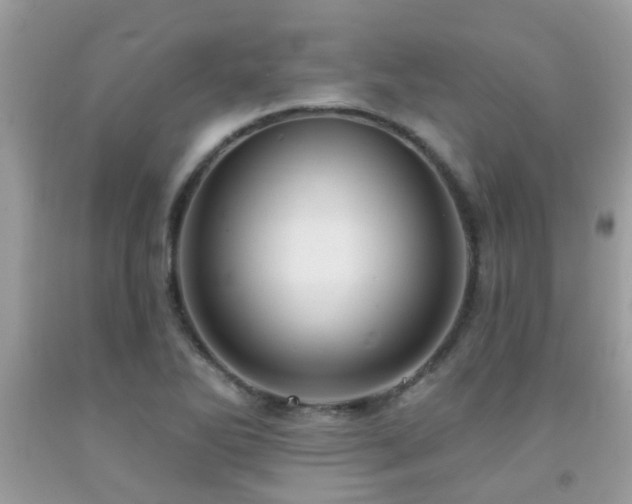 X0000092031270200709061607
