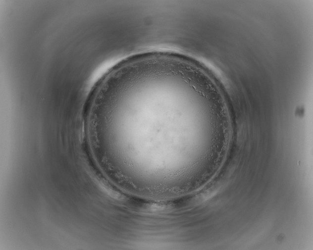 X0000092031271200709061607