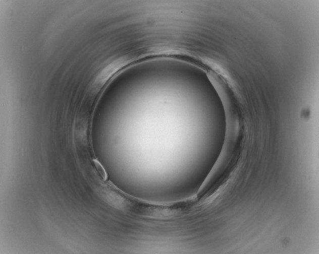 X0000092031273200709061607