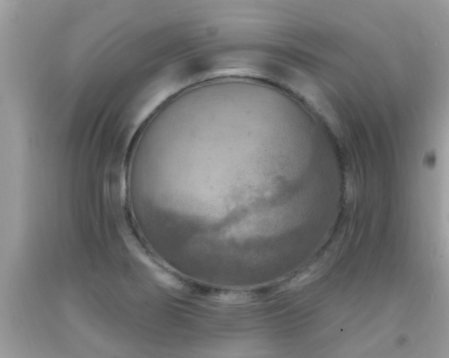 X0000092031274200709061607