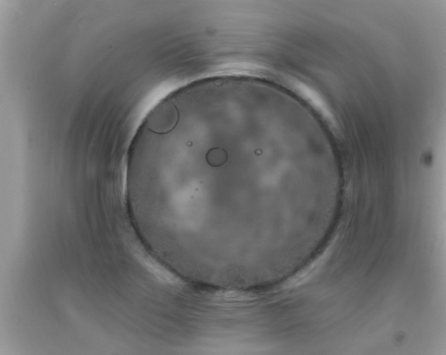 X0000092031275200709061607