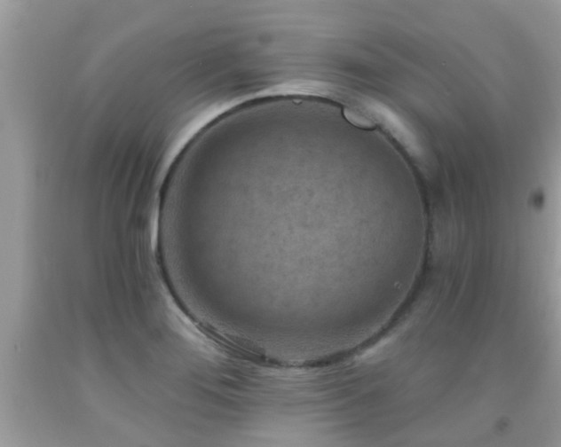 X0000092031276200709061607