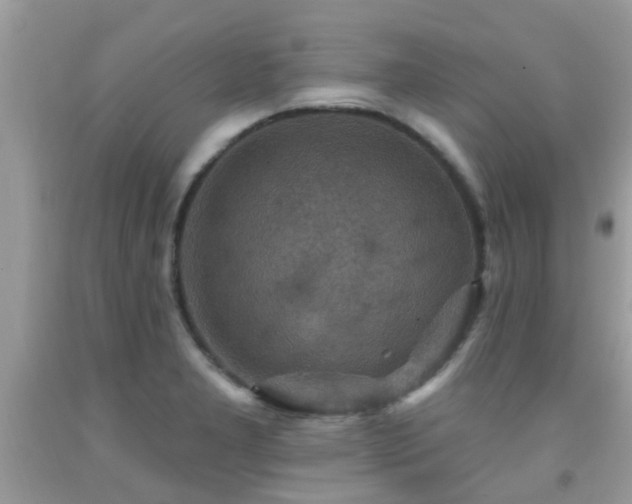 X0000092031277200709061607
