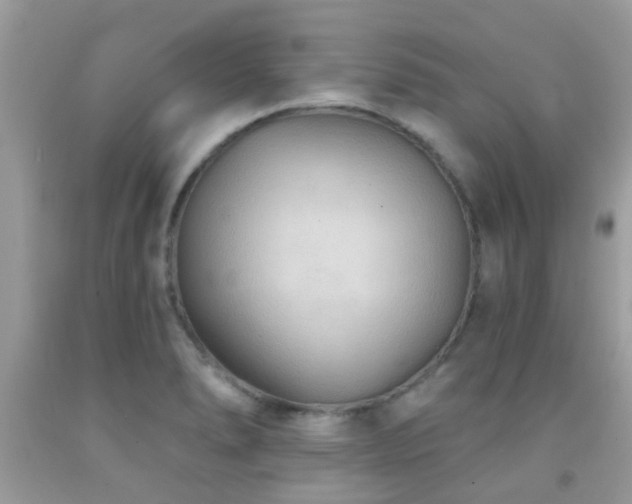 X0000092031278200709061607