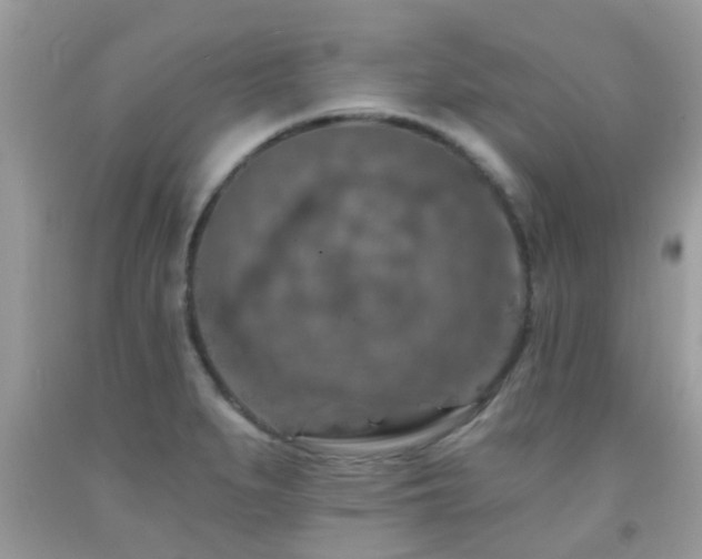 X0000092031279200709061607