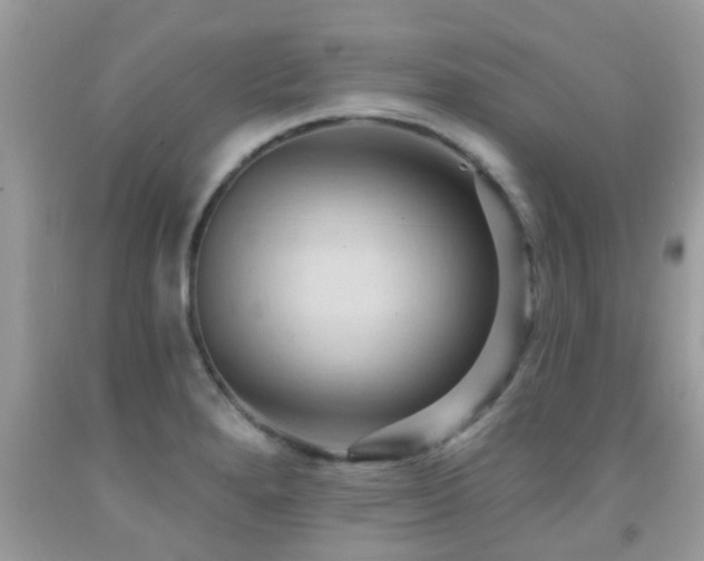 X0000092031280200709061607
