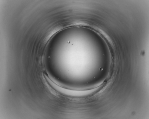 X0000092031281200709061607
