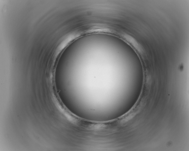 X0000092031282200709061607