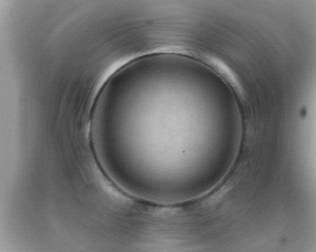 X0000092031284200709061607
