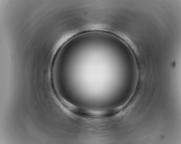 X0000092031285200709061607