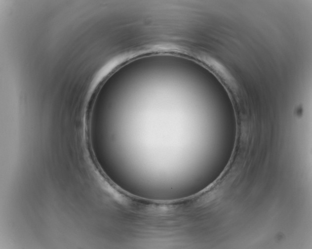 X0000092031286200709061607