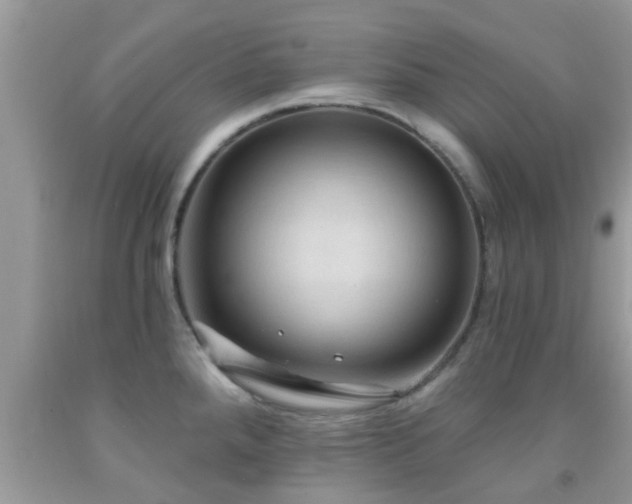 X0000092031288200709061607