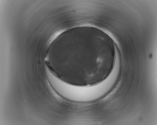 X0000092031289200709061607