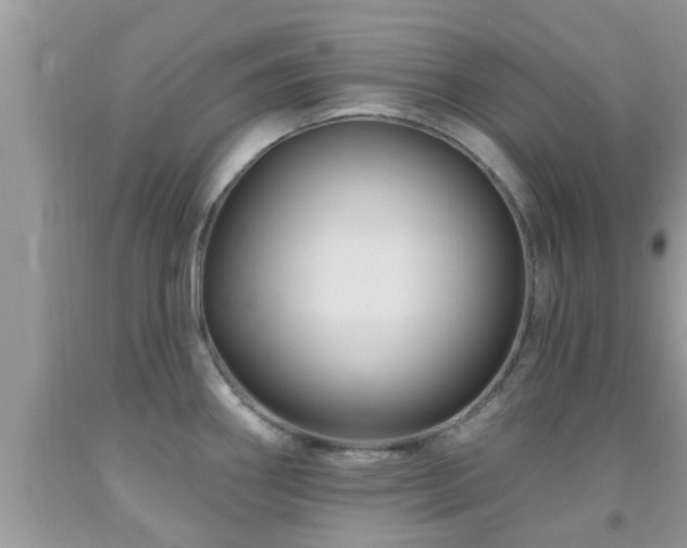 X0000092031290200709061606