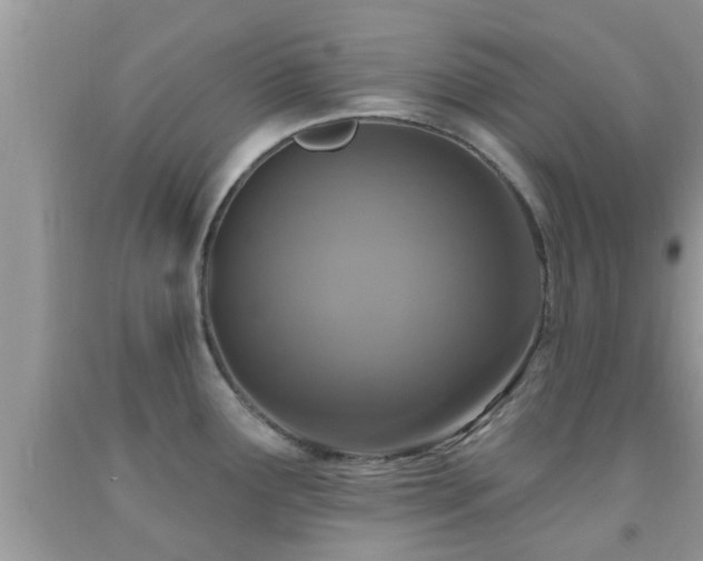 X0000092031291200709061606