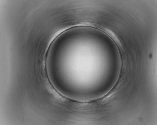 X0000092031292200709061606