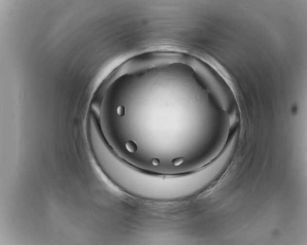 X0000092031293200709061606