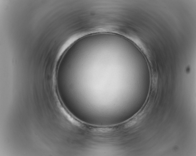 X0000092031294200709061606