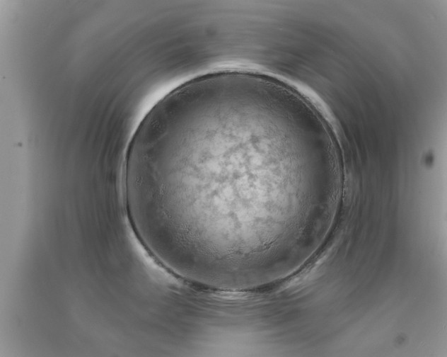 X0000092031295200709061606