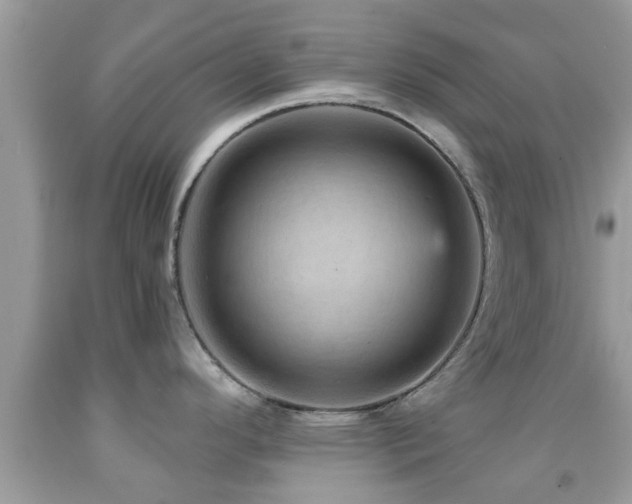 X0000092031296200709061606