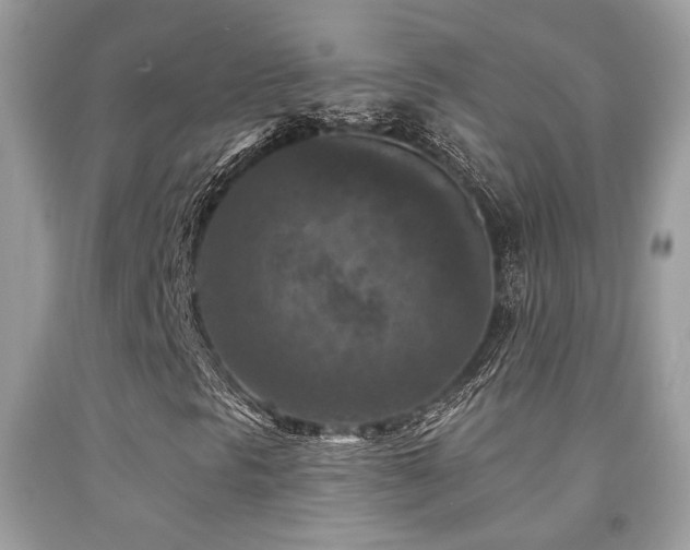 X0000092031297200709061606
