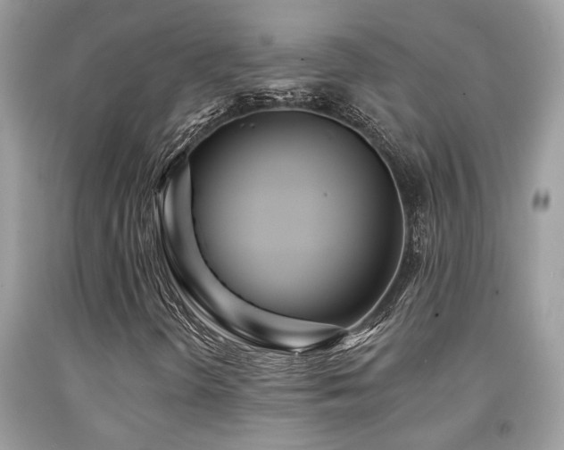 X0000092031298200709061606