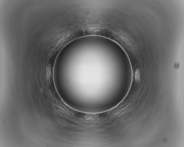 X0000092031299200709061606