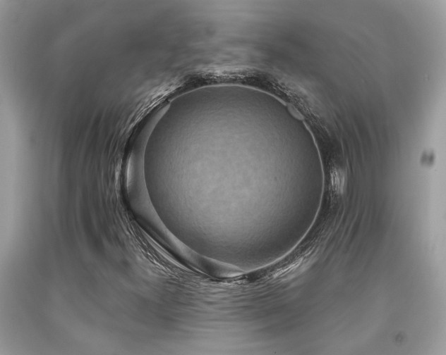 X0000092031300200709061606