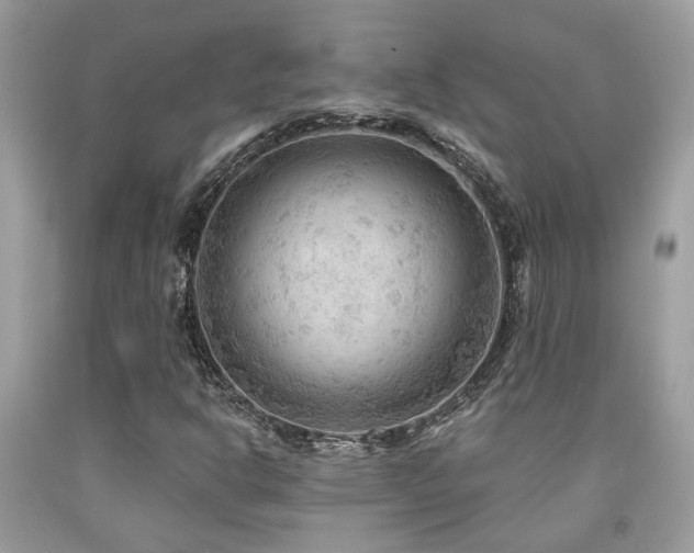X0000092031302200709061606