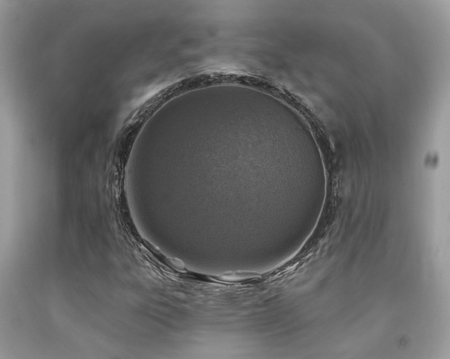 X0000092031303200709061606