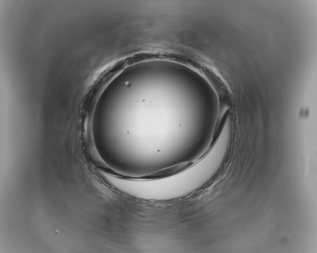 X0000092031304200709061606