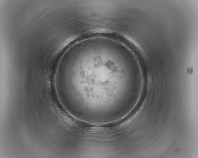 X0000092031305200709061606