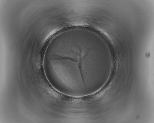 X0000092031306200709061606