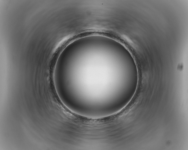 X0000092031307200709061606