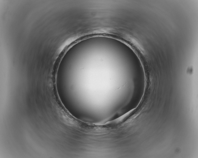 X0000092031308200709061606