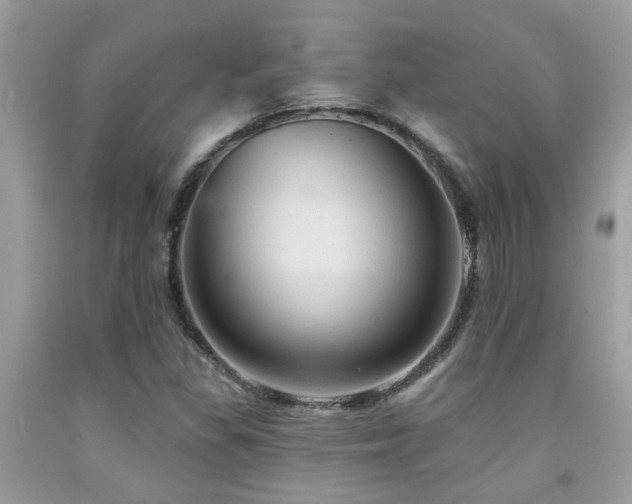 X0000092031309200709061606