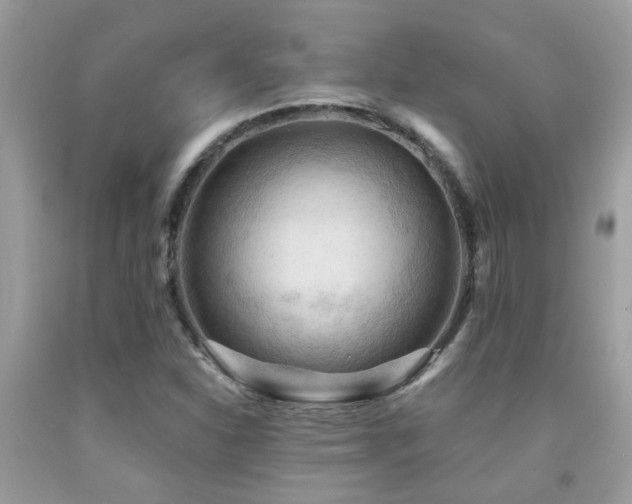 X0000092031310200709061606