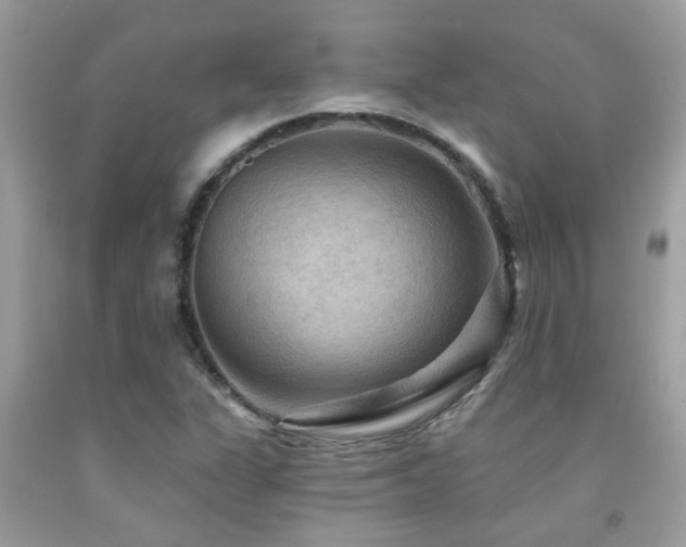 X0000092031311200709061606