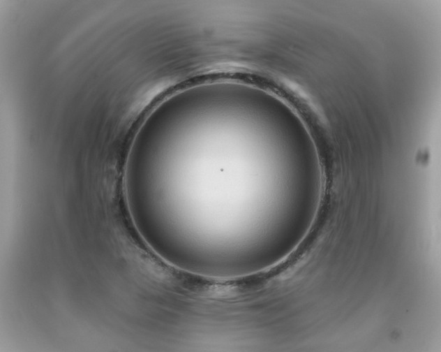 X0000092031313200709061606