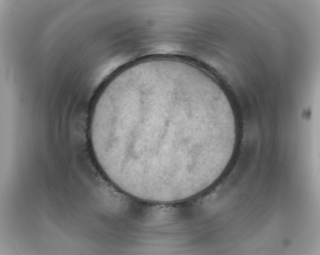 X0000092031314200709061606