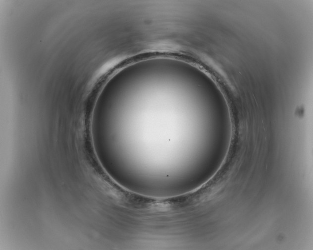 X0000092031315200709061606